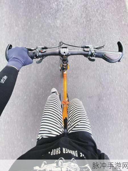 XXXXXL19D18使用评测：全面评测拓展XXXXXL19D18的性能与用户体验分析