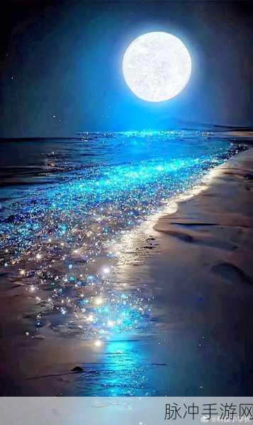 小蓝gary2022和浪小辉的音乐作品：星空下的梦想与旋律：小蓝Gary与浪小辉的音乐之旅