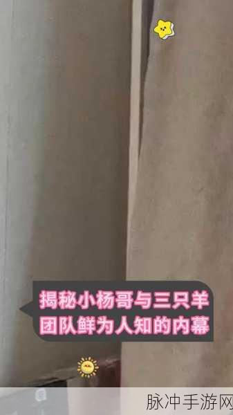 hl06黑料：HL06黑料深度揭秘：不为人知的内幕与真相