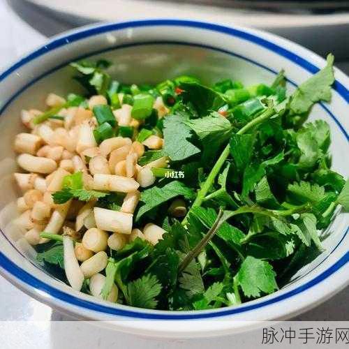 澧色母1-6汤不加：澧色母揭秘：汤不加的独特魅力与风味探究