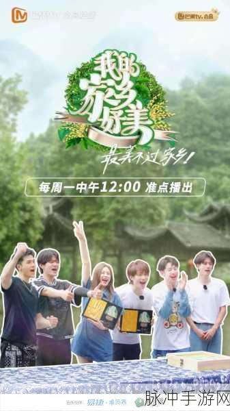 夜禁网站：探索夜禁网站：深度解读与使用指南，安全无忧畅游网络世界