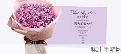 法国满天星酒店服务生：法国满天星酒店服务生：细致入微的奢华体验与温馨关怀