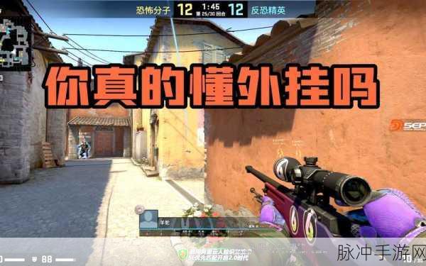csgo暴躁小老妹视频爆红网络：热辣操作引发全网热议-宝塔山软件园：CSGO暴躁小老妹视频走红网络：热辣操作引发网友热议