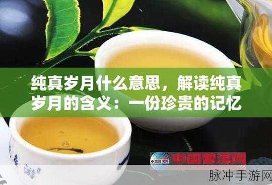 大香煮2024一人一煮介绍：2024年独特体验：一人一煮的拓展大香煮新风尚