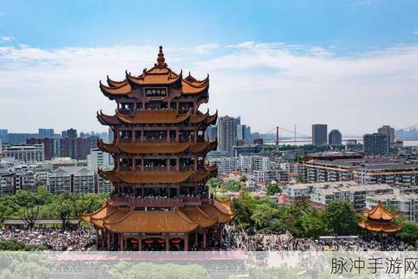 51vip终身卡兑换码：畅享51vip终身卡特权，兑换码助你轻松获取！