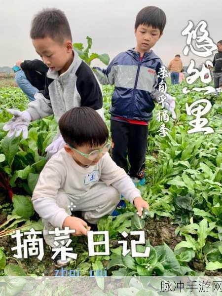 拔萝卜生侯子：拔萝卜的乐趣与生侯子的成长历程