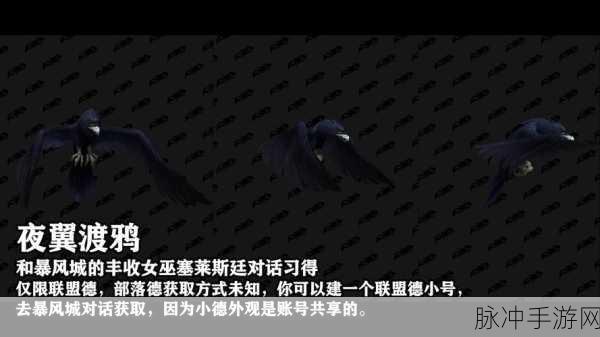 德鲁伊可以用什么武器？：德鲁伊在《魔兽世界》中可以使用哪些武器拓展解析