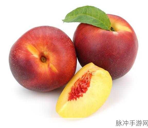 yw193：探索YW193的独特魅力与文化意义，揭示其背后的故事