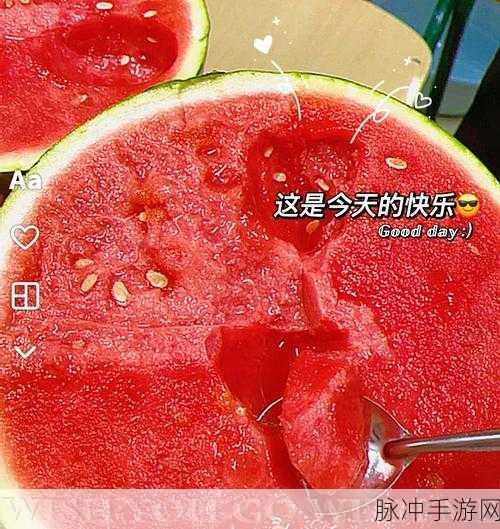 911今日吃瓜人口：今日吃瓜热潮再起，911事件引发民众广泛讨论