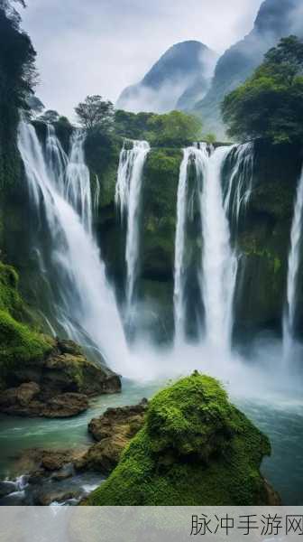 teeu-6-12仙踪林：探索仙踪林的神秘之旅：teeu-6-12带你领略自然魅力