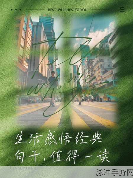 错一题下面查一支笔啊哈：寻找一支独特的笔，记录生活中的点滴感悟