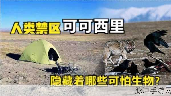 91无人区乱码一二三四区别：探索91无人区的神秘与乱码现象解析
