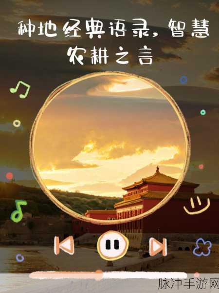 需要妈妈播种美国：在美国的沃土上播种希望与梦想，母亲的伟大使命