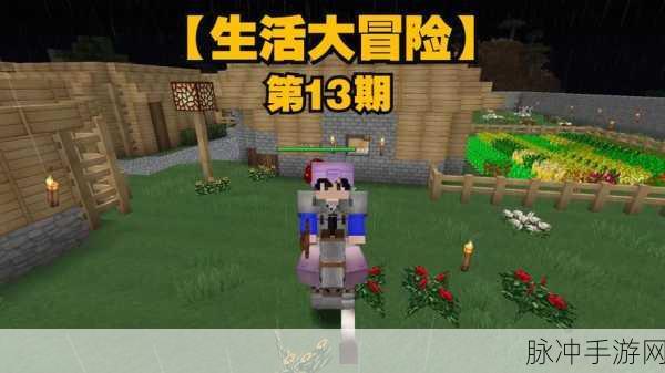 暴躁老外玩minecraft：暴躁老外的Minecraft冒险：奇幻世界中的疯狂挑战