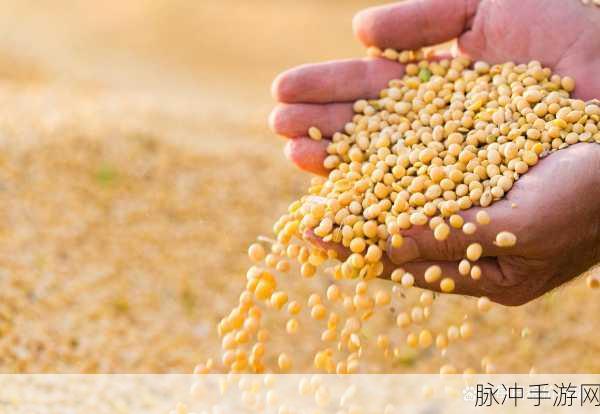 欧美破苞系列二十六大豆行情：欧美破苞系列二十六：大豆市场行情解析与趋势预测