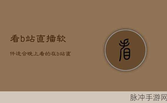 适合晚上一个人看b站网址：一个人夜晚放松的完美选择：B站精彩视频推荐网址