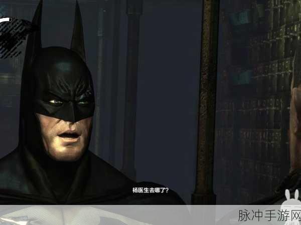 蝙蝠侠阿卡姆疯人院年度版攻略：全面解析：蝙蝠侠阿卡姆疯人院年度版全攻略