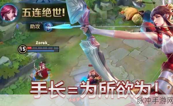 撑起伽罗的腿疯狂输出：全力以赴，助推伽罗屠戮战场疯狂输出！