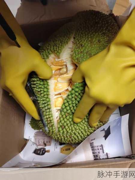 菠萝菠萝蜜视频在线观看免费：探索奇幻菠萝蜜世界，尽享高清视频免费观看乐趣！