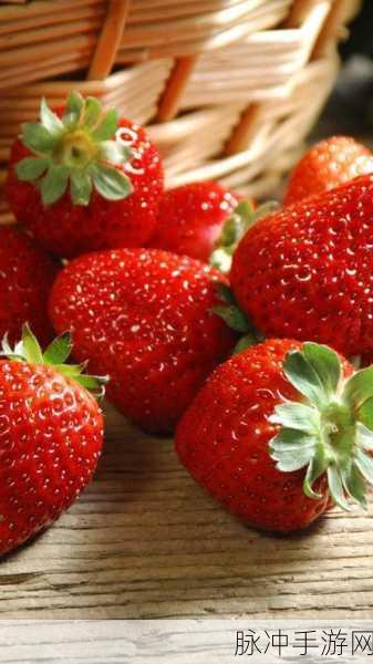 草莓 APP：“草莓乐园：探索新鲜美味与健康生活的完美结合”