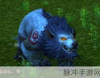 狼人德鲁伊与暗夜德鲁伊：狼人德鲁伊与暗夜德鲁伊的神秘力量与自然之美