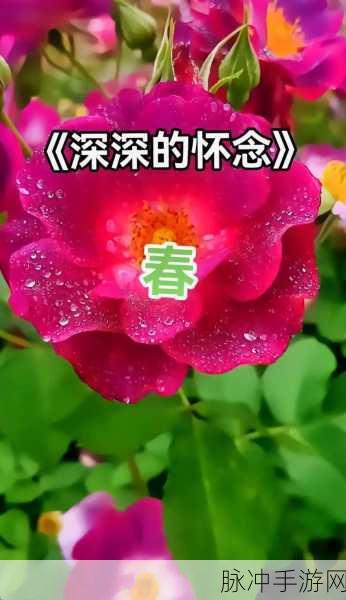 ハンマーソングと痛みの塔歌词：心中回响的旋律与痛苦之塔的叹息