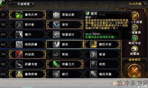 魔兽世界335pve盗贼输出：魔兽世界335版本盗贼PVE输出技巧与装备选择解析
