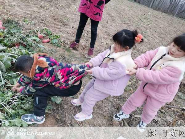 打扑克拔萝卜全程不盖被子：欢乐扑克与拔萝卜的无被盖冒险之旅