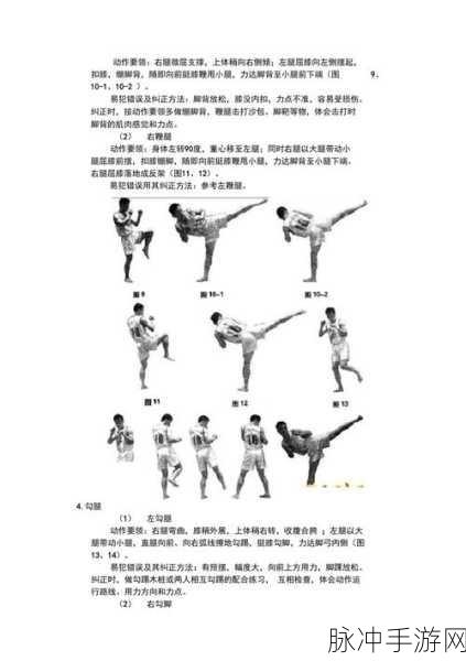 胡桃腿法娴熟部下网站：提升胡桃腿法技巧，培养精英部下的实用指南