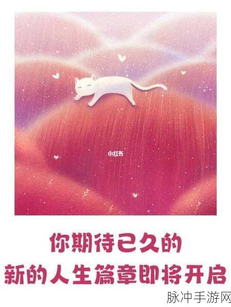 星空传媒KX：拓展星空传媒KX：开启未来数字内容创作的新篇章