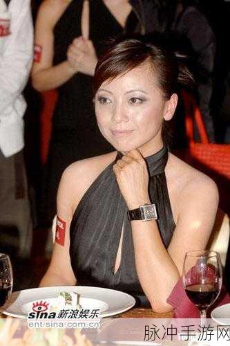 ChineSe露脸老女人：岁月沉淀的魅力：探讨中国熟女的独特风采与智慧