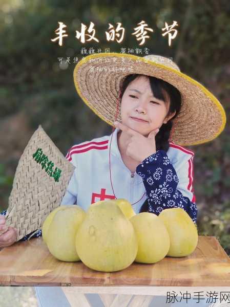 蜜柚视频网站：“蜜柚视频：探索精彩世界，分享无限视听体验！”