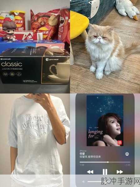 错发批照后被室友爆炒：室友错发批照引发的 hilarious 反转故事，真相大揭秘！