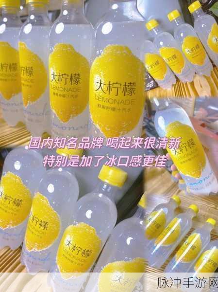 汽水音乐推广授权申请：拓展汽水品牌音乐推广授权的申请书与方案