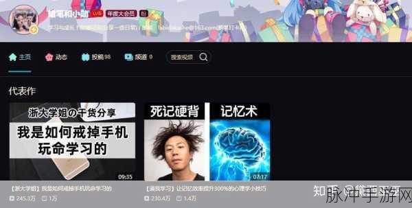 b站推广mmm破解版：探索B站推广新境界：MMM破解版的魅力与潜力