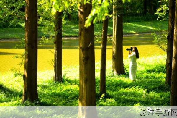 亚洲青娱乐极品视觉：探索亚洲青娱乐的极致视觉盛宴与文化魅力