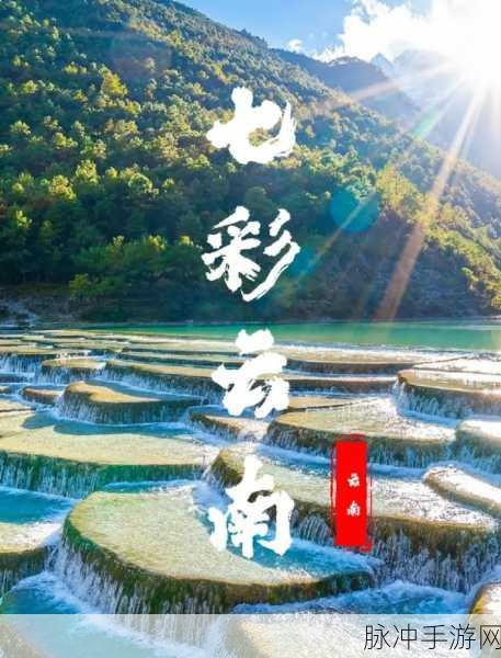 gogogo包子铺特色包子：“探索gogogo包子铺独特风味，尽享美味包子的魅力之旅”