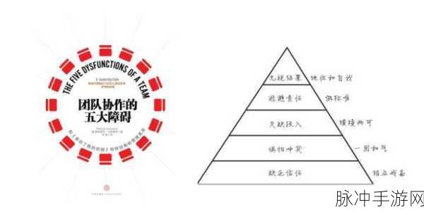 群体轮换：优化团队协作：实现群体轮换的新策略与方法探讨
