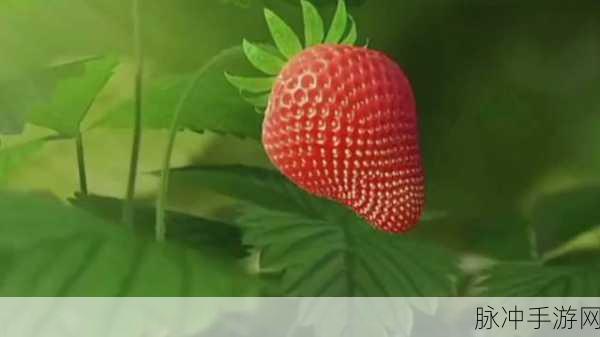 草莓视频黄页：探索草莓视频的丰富内容与精彩世界，尽享视觉盛宴