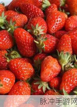 草莓视频黄页：探索草莓视频的丰富内容与精彩世界，尽享视觉盛宴