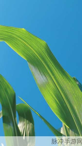 17c一起种草：“17c一起种草：分享生活中的绿色体验与乐趣”