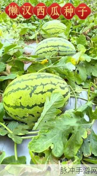 17c一起种草：“17c一起种草：分享生活中的绿色体验与乐趣”