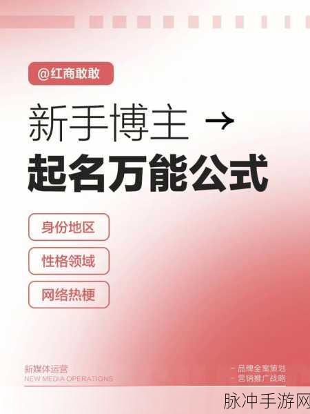主播视频最新地域网名怎么改的：如何将主播视频中的地域网名改为全新标题，提升吸引力？