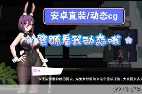 兔子女郎的冒险游戏官方正式版：兔子女郎的奇幻冒险：探索神秘世界与勇者同行