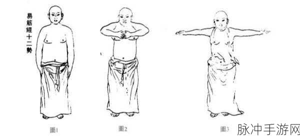 交而不泄的训练方法道家固精功法：道家固精功法：拓展内修与外放的训练秘诀