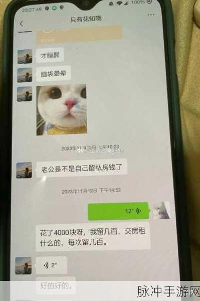 51热门大瓜今日大瓜最新胖猫：今日大瓜：胖猫成网红，背后故事令人捧腹！