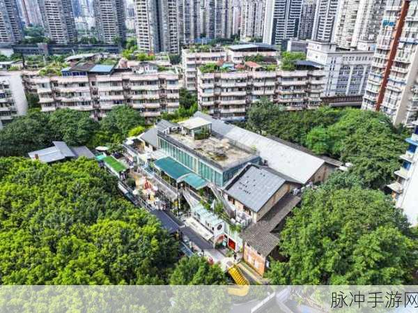 国内精品2区：打造国内高端精品二区，提升城市生活品质与文化氛围