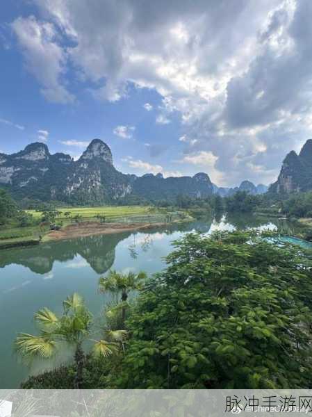 website一起cao17.：探索cao17的无限可能：打造独特的网站体验与价值