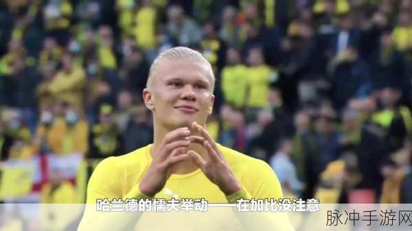 仙踪林国产未成年：探索仙踪林：未成年人冒险奇幻之旅