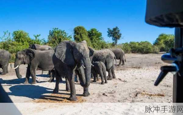 大象伊甸传媒有限公司：拓展大象伊甸传媒有限公司：创新视角开启传播新纪元